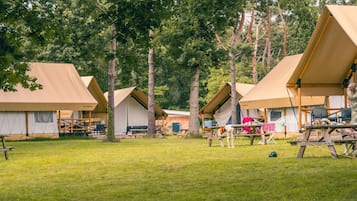 A campsite with multiple tents, picnic tables, and a grassy area.