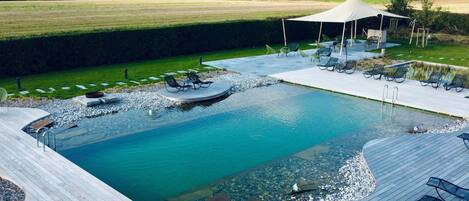 House | Pool | Outdoor pool