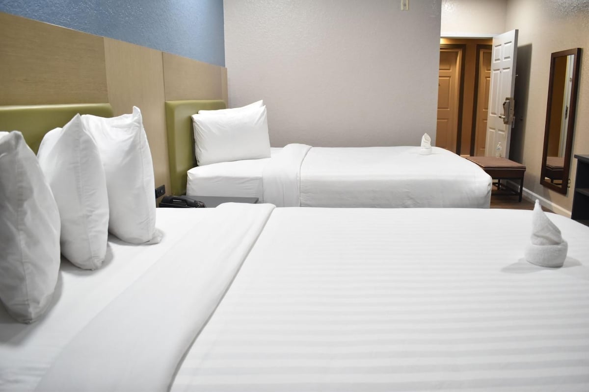 Une chambre d’hôtel avec deux lits, une tête de lit verte, une porte en bois et un miroir au mur.