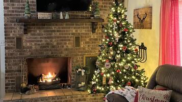 Smart TV, fireplace, books