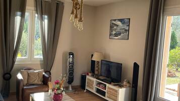 Smart TV, caminetto, lettore DVD, libri