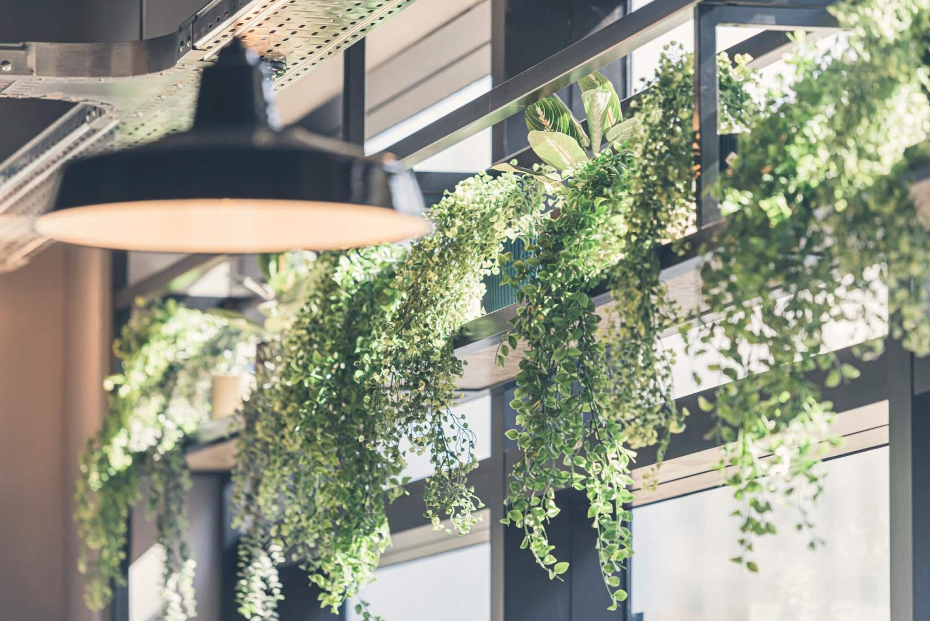 Photo - Slo Hostel Bordeaux