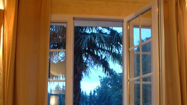 An open door leading to a pool area with a palm tree and lounge chairs. - Gite Catalin à St Rémy de Provence (Saint-Rémy-de-Provence)