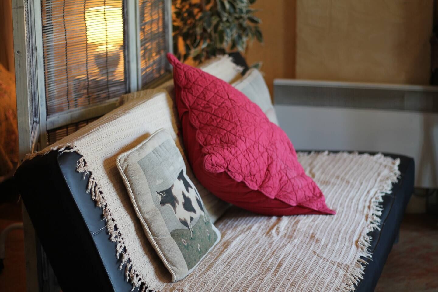 A sofa with a beige and black cushion, a red pillow, and a grey pillow with a star pattern.