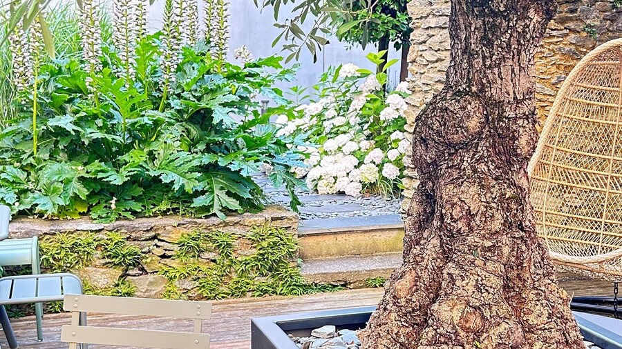 HĂŽtel et Apparts Marin