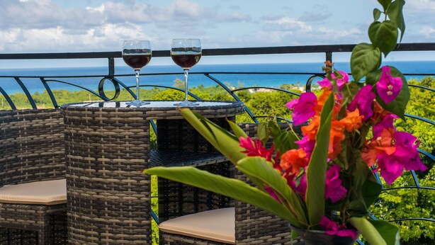 A wicker table with two glasses of red wine, a potted plant with pink flowers, and a view of the ocean.