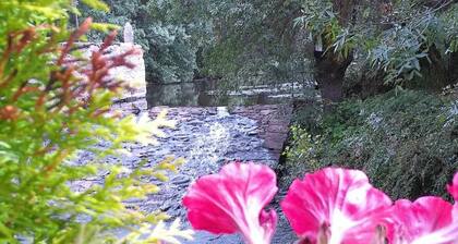 Casa del Puente - MurallaHomes