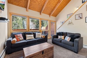 Smart TV, fireplace, DVD player, video library