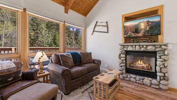 Smart TV, fireplace, DVD player, video library