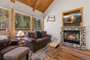 Smart TV, fireplace, DVD player, video library