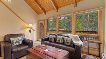 TV connectée, cheminée, lecteur de DVD, vidéothèque