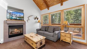 Smart TV, fireplace, DVD player, video library