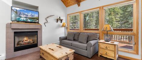 Smart TV, chimenea, reproductor de DVD y videoteca