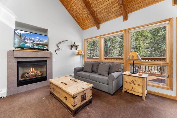 TV connectée, cheminée, lecteur de DVD, vidéothèque