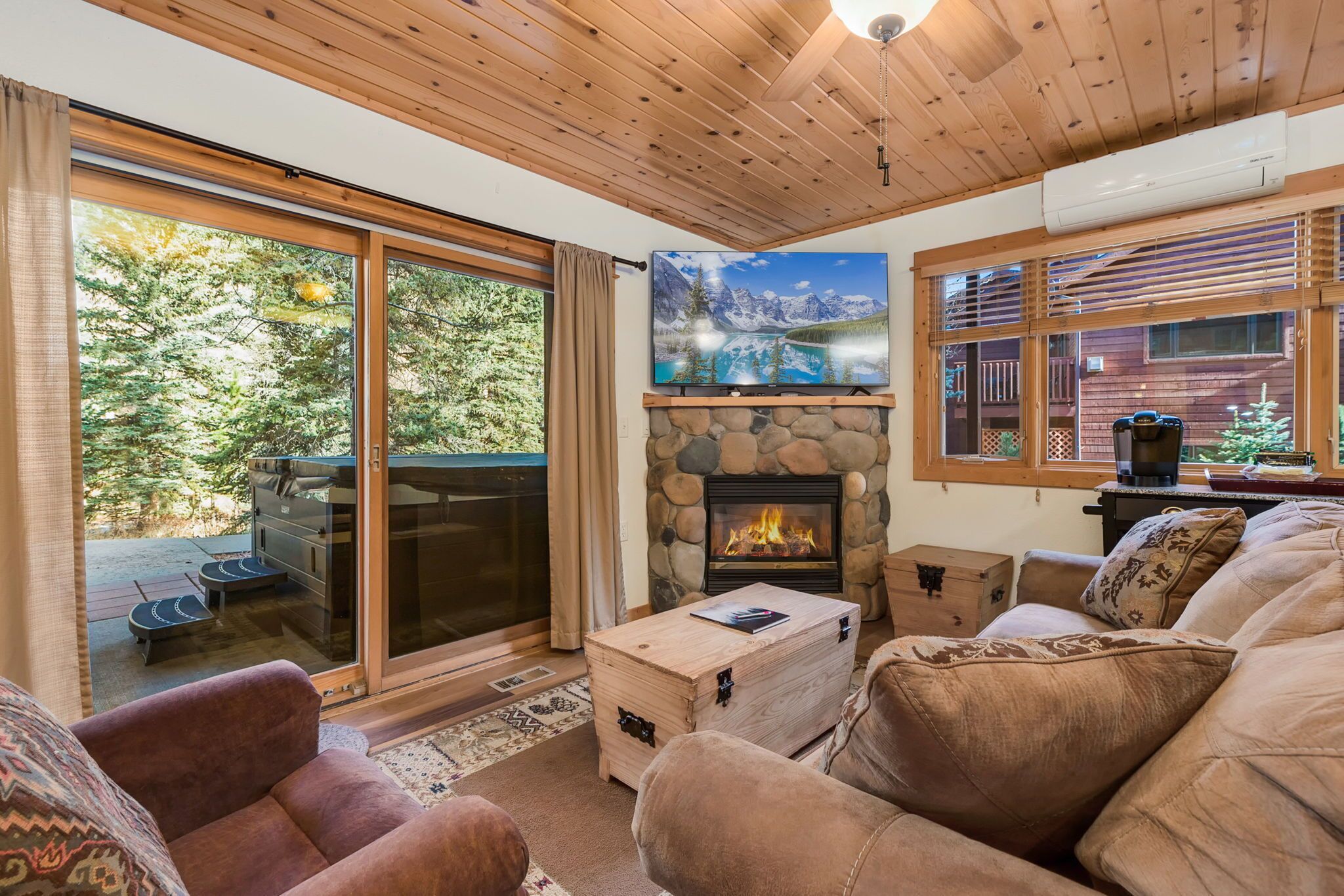 Smart TV, fireplace, DVD player, video library