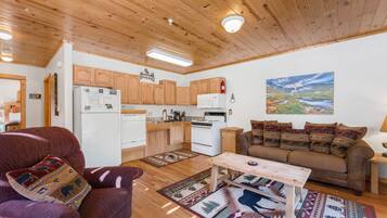 Smart TV, fireplace, DVD player, video library