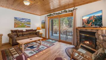 Smart TV, fireplace, DVD player, video library