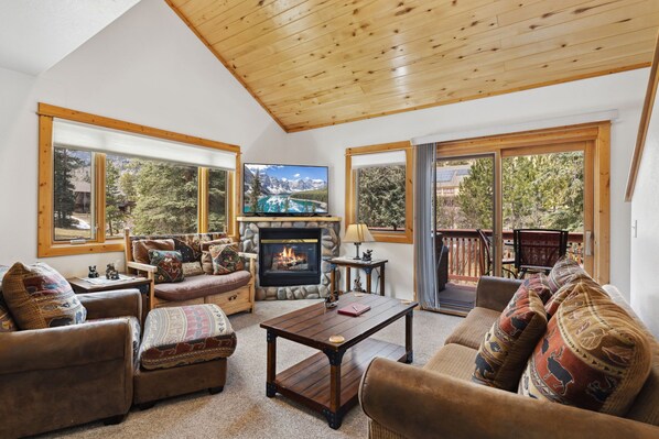 Smart TV, fireplace, DVD player, video library