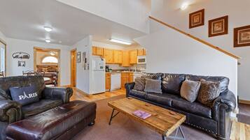 Smart TV, fireplace, DVD player, video library