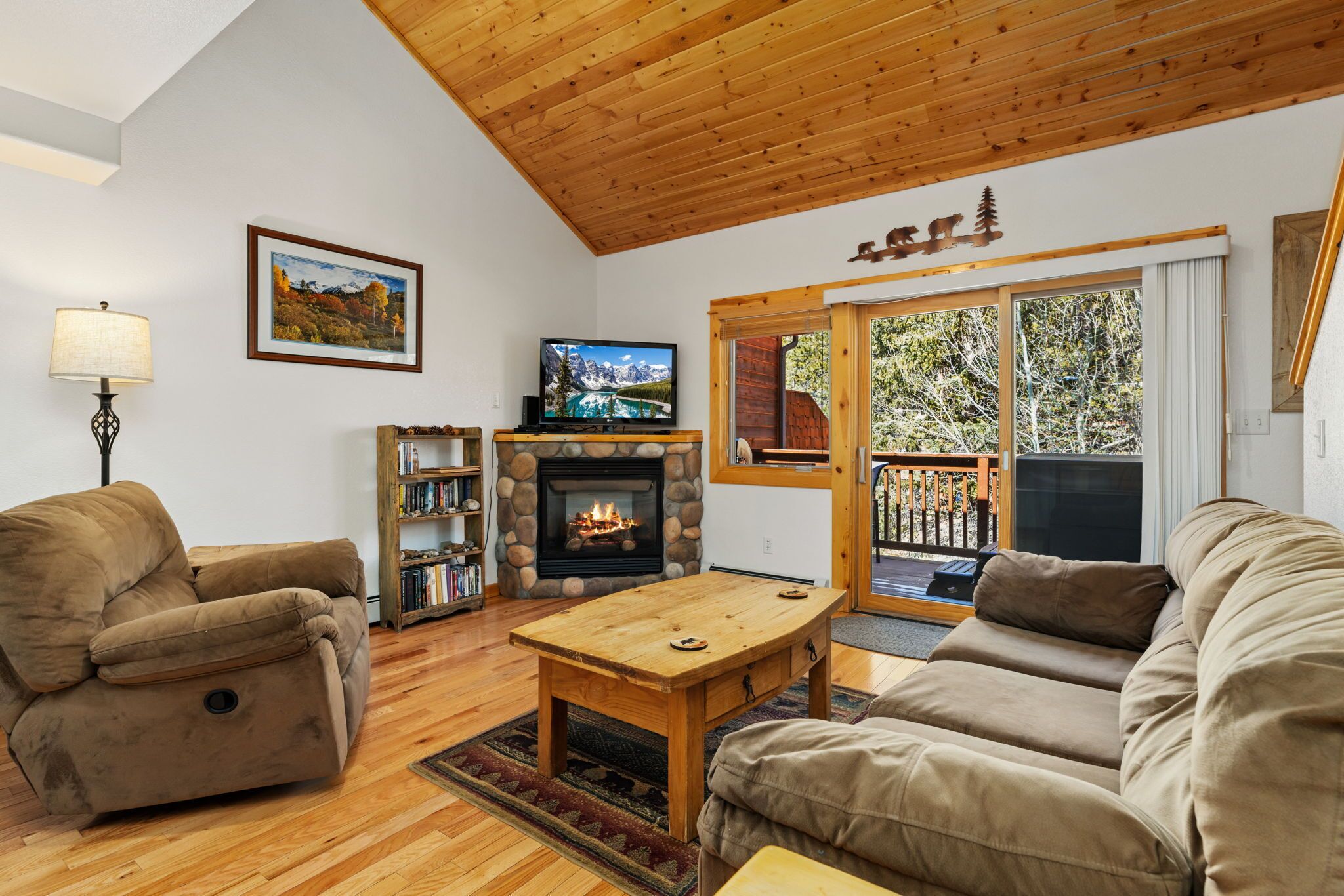 Smart TV, fireplace, DVD player, video library