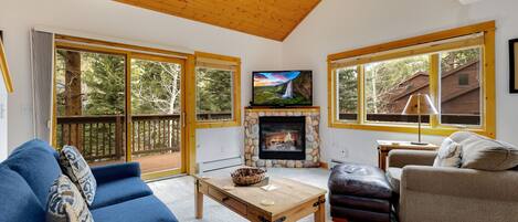 Smart TV, fireplace, DVD player, video library