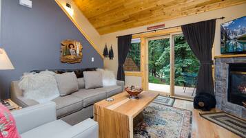 Smart TV, fireplace, DVD player, video library