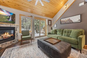 智能電視、壁爐、DVD 播放機、影像庫