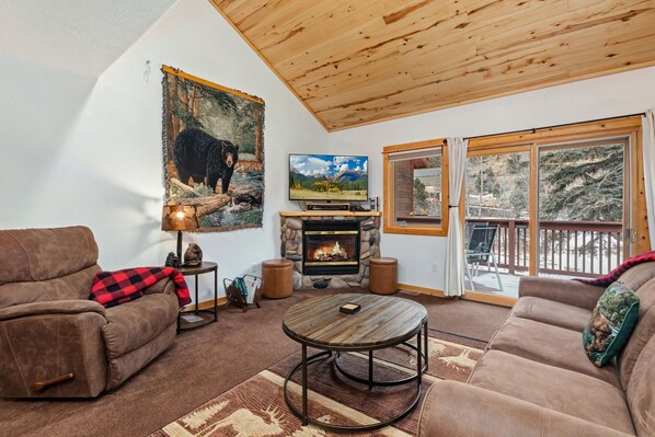 Smart TV, fireplace, DVD player, video library