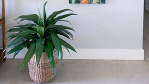 A wall with a framed sign reading "SUNSHINE STATE" and a painting of Florida's landscape. - Family Retreat South Spacious 4BR, 4BA Getaway (Sebastian)