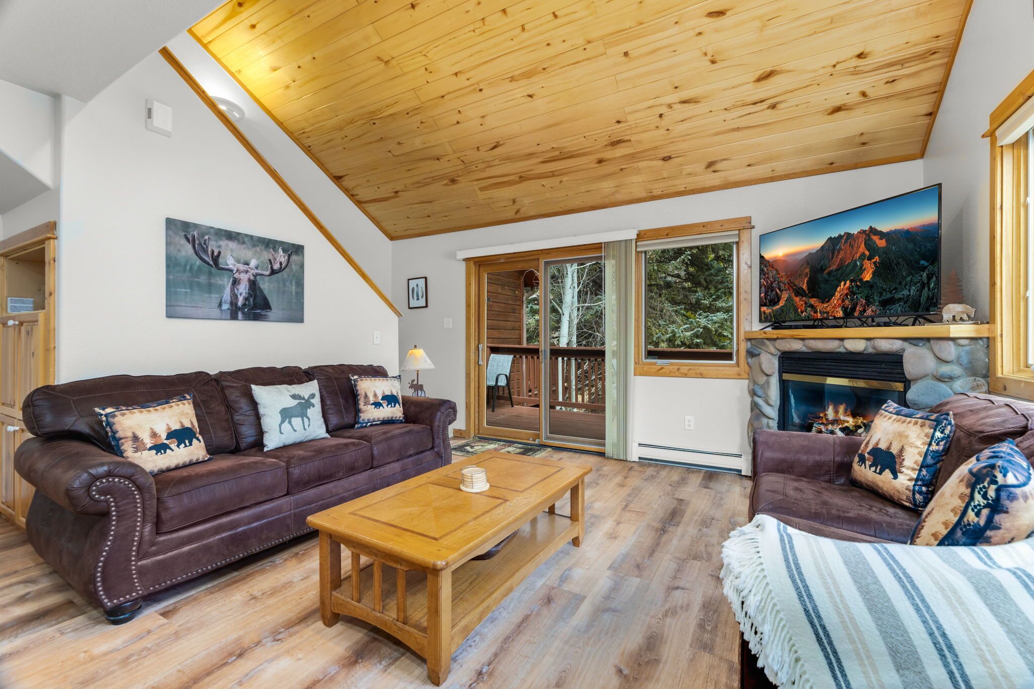 Smart TV, chimenea, reproductor de DVD y videoteca 