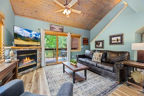 Smart TV, fireplace, DVD player, video library