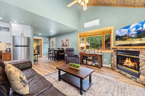 Smart TV, fireplace, DVD player, video library
