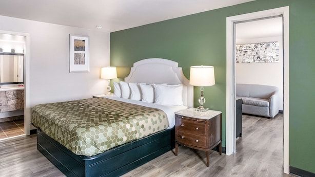A bedroom with a bed, bedside tables, a nightstand, and a door leading to another room.