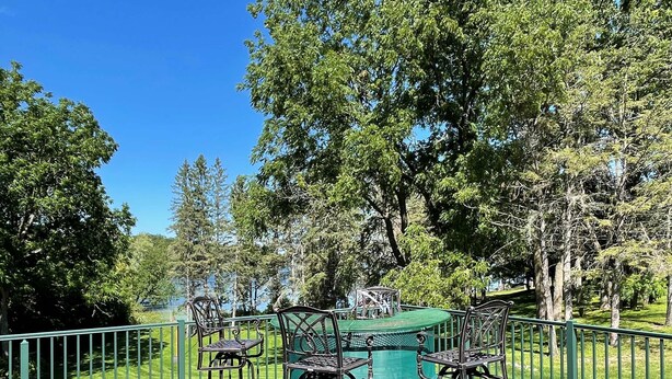 A wooden deck with outdoor furniture and a green table, surrounded by a metal fence and trees.