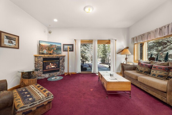 Smart TV, fireplace, DVD player, video library