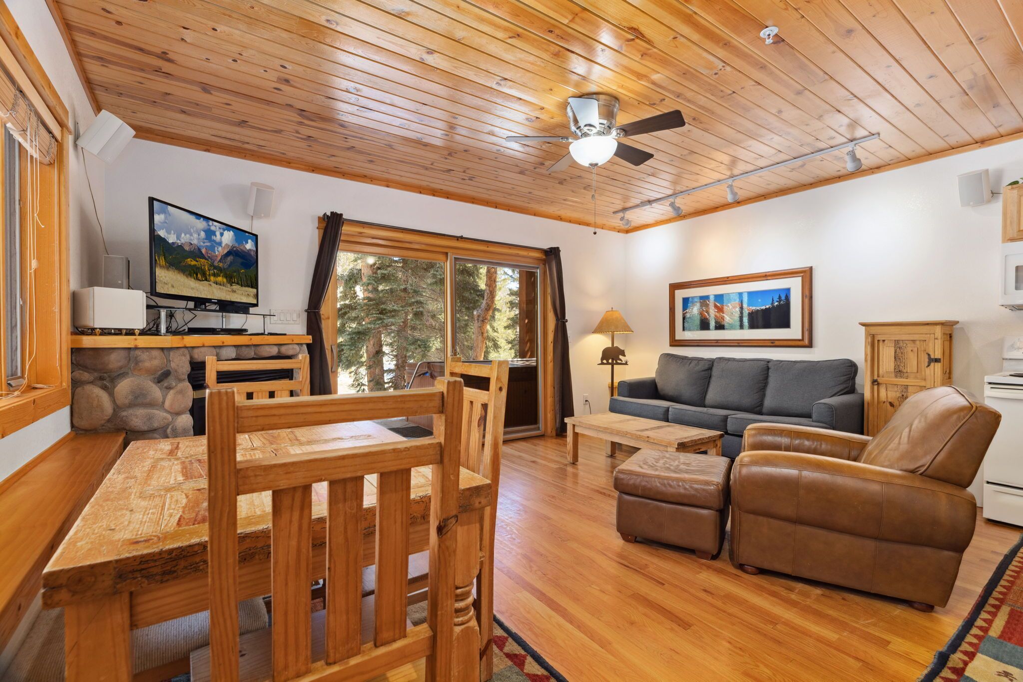 Smart TV, fireplace, DVD player, video library