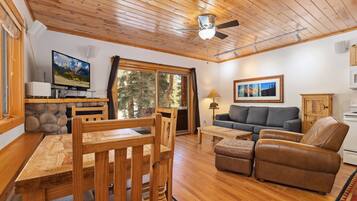 Smart TV, fireplace, DVD player, video library