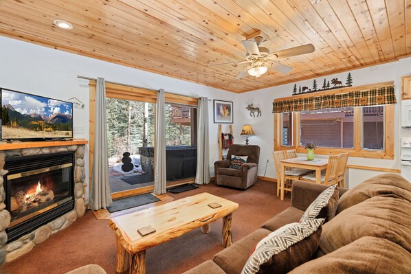 Smart TV, chimenea, reproductor de DVD, videoteca