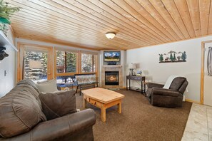 Smart TV, fireplace, DVD player, video library