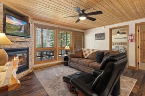 Smart TV, fireplace, DVD player, video library