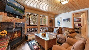 Smart TV, fireplace, DVD player, video library