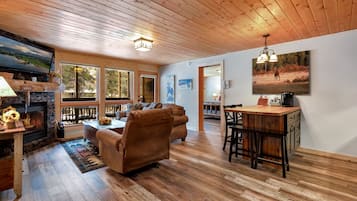 Smart TV, fireplace, DVD player, video library