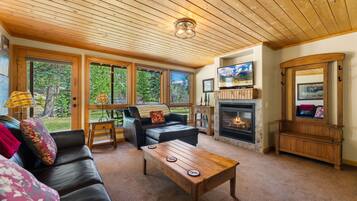 Smart TV, fireplace, DVD player, video library