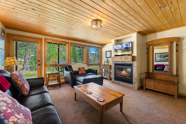 Smart TV, fireplace, DVD player, video library