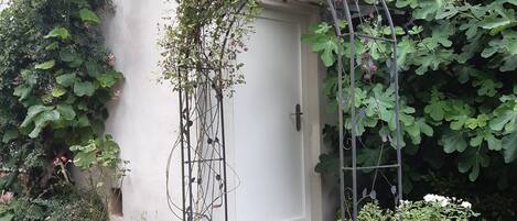 Detalle del exterior