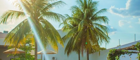 Outdoor pool, open 8:00 AM to 10:00 PM, sun loungers