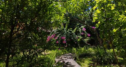 Kirana Homestay - Sunshine Bungalow - a beautifull place for amazing vacations