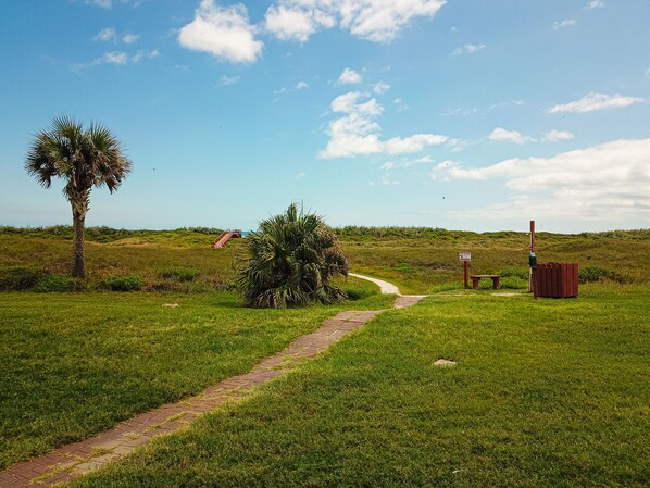 A grassy pathway leading to a beach with a palm tree and a wooden structure. - Walk to Sandfest, Shared Pools, Boardwalk to Beach, Gulf Views (Port Aransas)