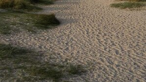 Un sentier de sable bordé de dunes de chaque côté.