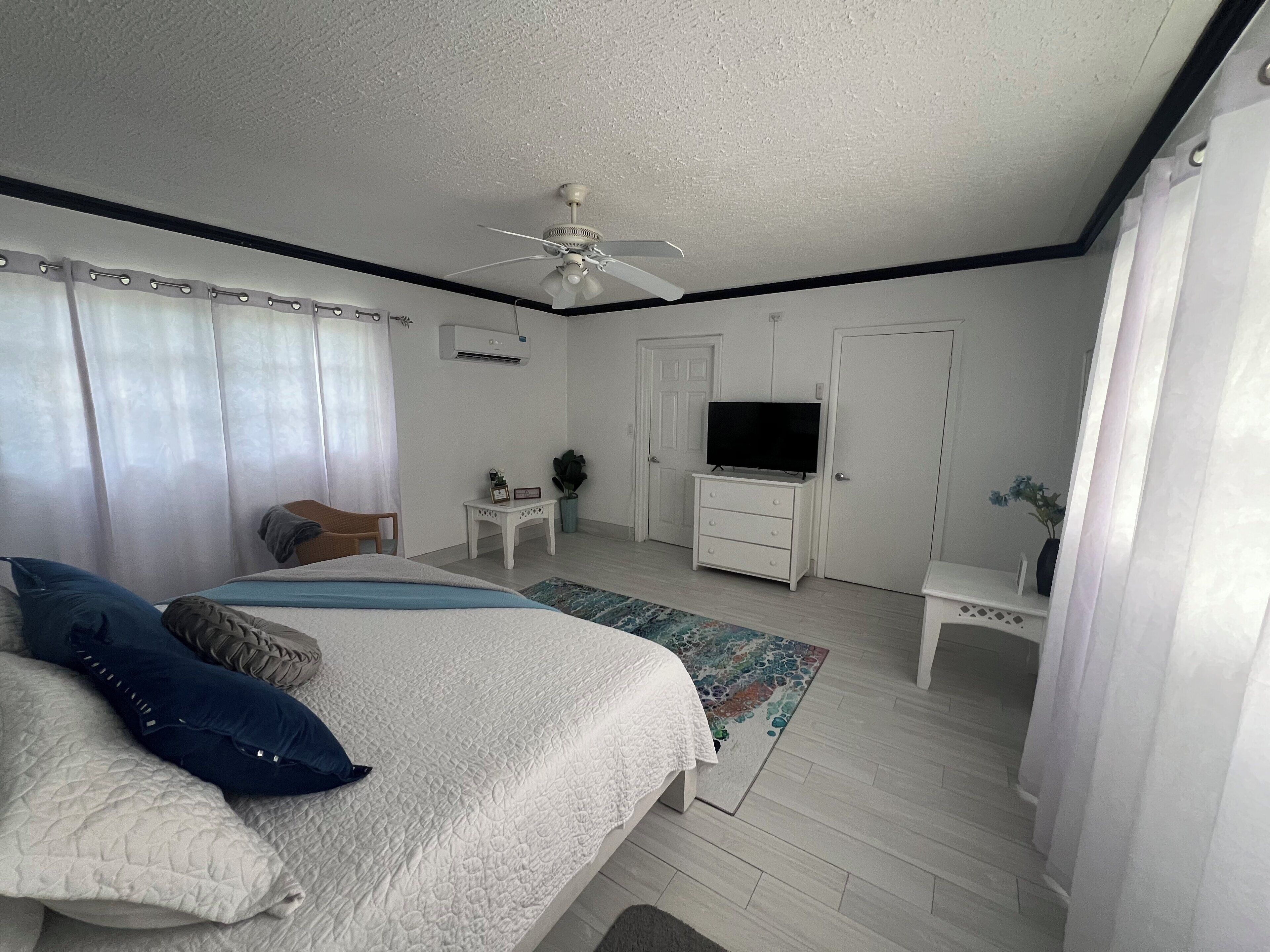 Ein Schlafzimmer mit einem Bett, einem Fernseher, einem Deckenventilator und einem kleinen Tisch mit einer Pflanze.